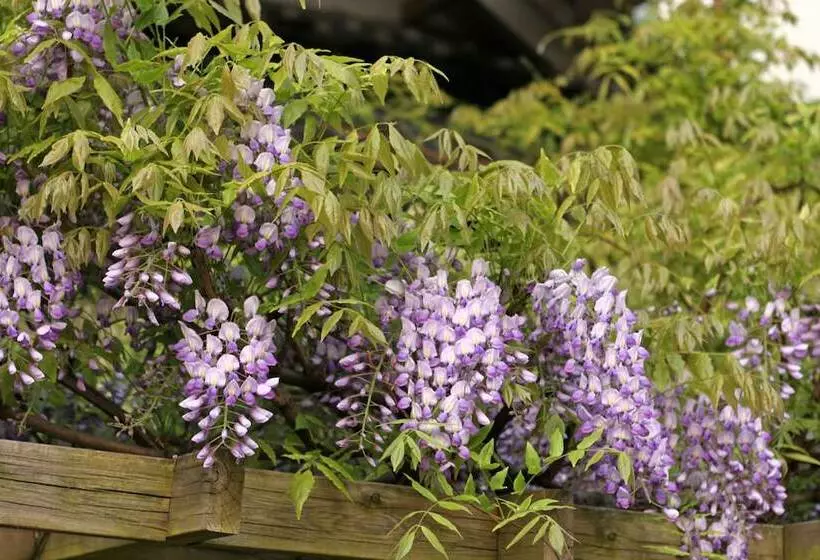 ホテル Chikurinin Gunpoen