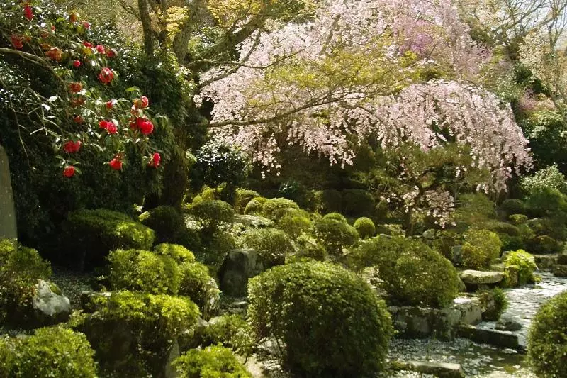 ホテル Chikurinin Gunpoen