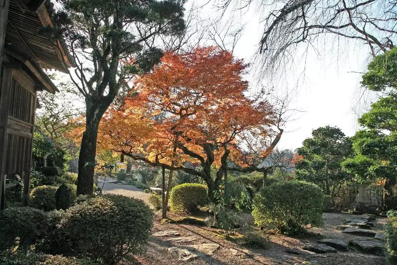 ホテル Chikurinin Gunpoen