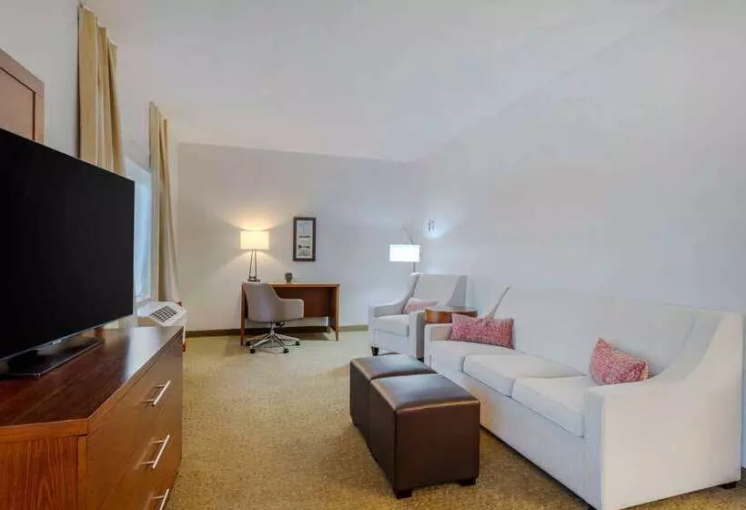 酒店 Comfort Suites La Porte