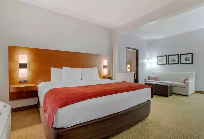 酒店 Comfort Suites La Porte