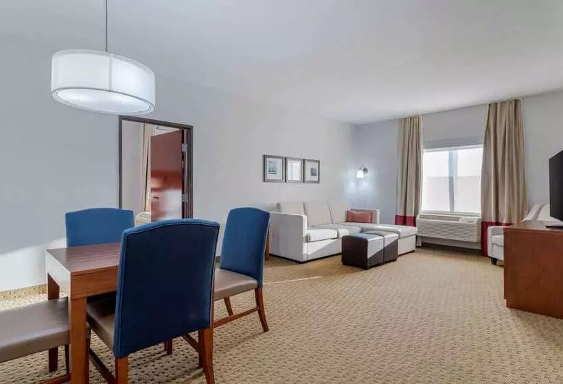 酒店 Comfort Suites La Porte