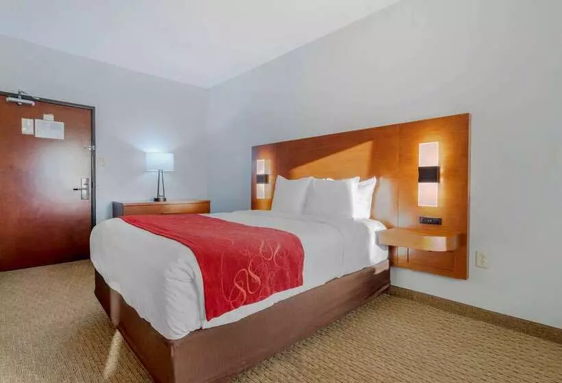 酒店 Comfort Suites La Porte