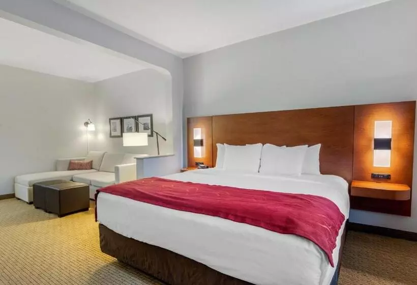 酒店 Comfort Suites La Porte