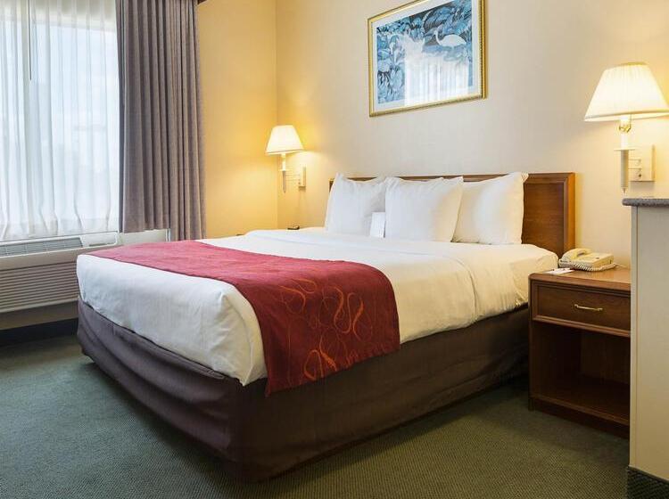 Отель Comfort Suites La Porte