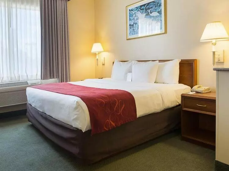 酒店 Comfort Suites La Porte