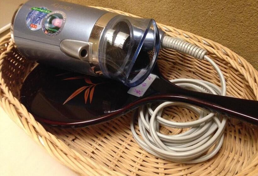 בית מלון כפרי Kawakamiya Kasuitei