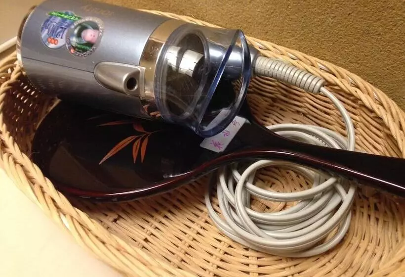 Отель Kawakamiya Kasuitei