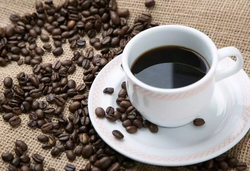 Отель Kurobe Kanko