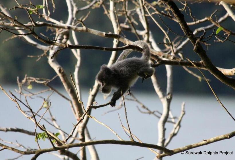 בית מלון כפרי Permai Rainforest Resort