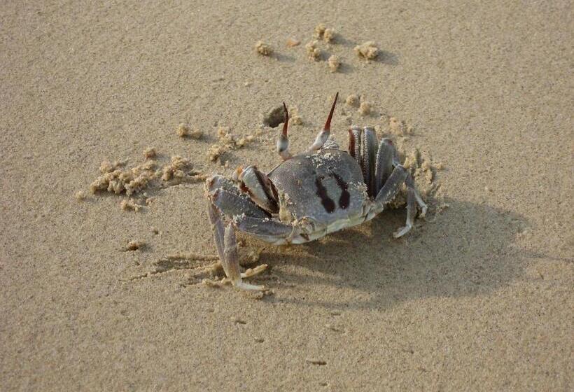 בית מלון כפרי Permai Rainforest Resort