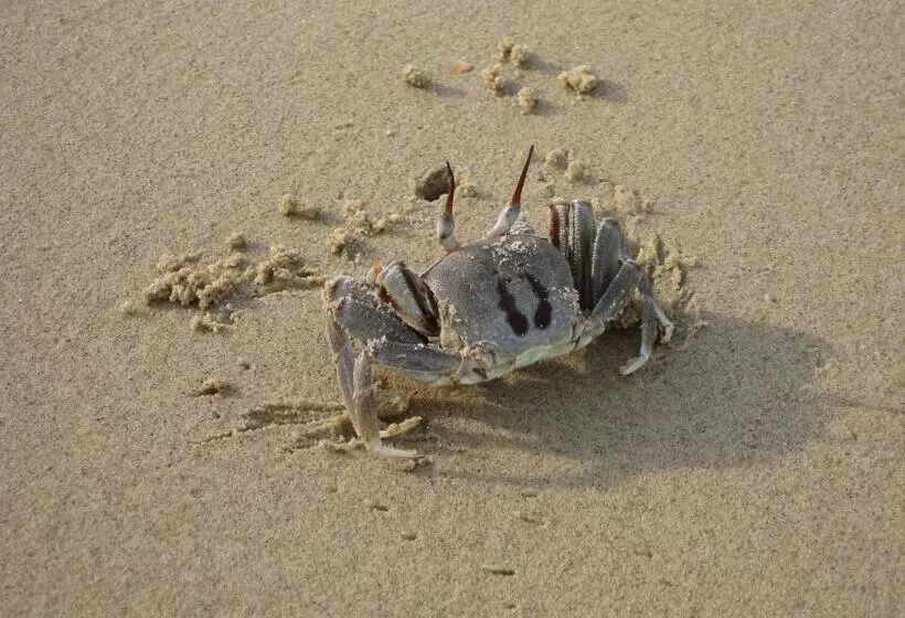 בית מלון כפרי Permai Rainforest Resort