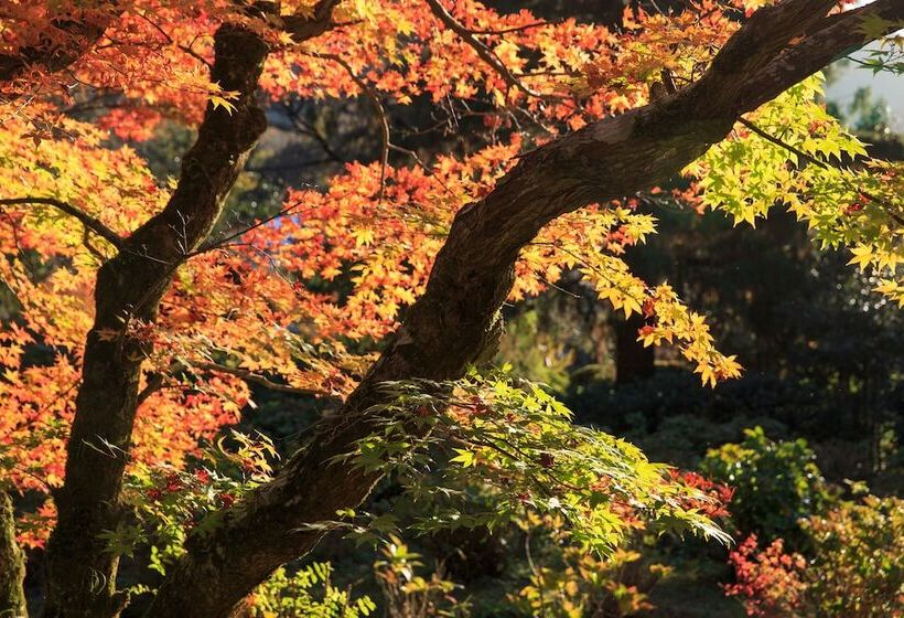 בית מלון כפרי Baien