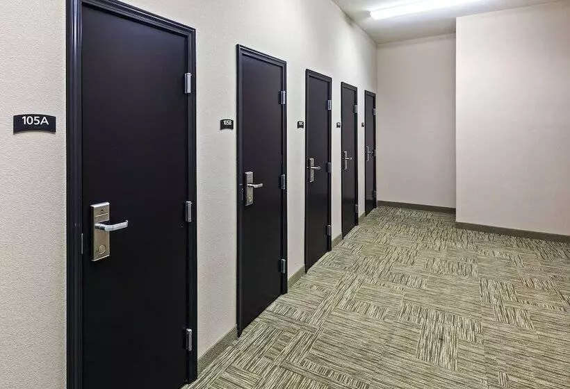 Staybridge Suites Amarillo Western Crossing, An Ihg