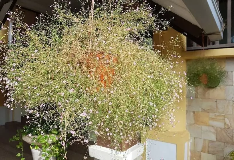 D Feringghi Haus Hotel & Restaurant