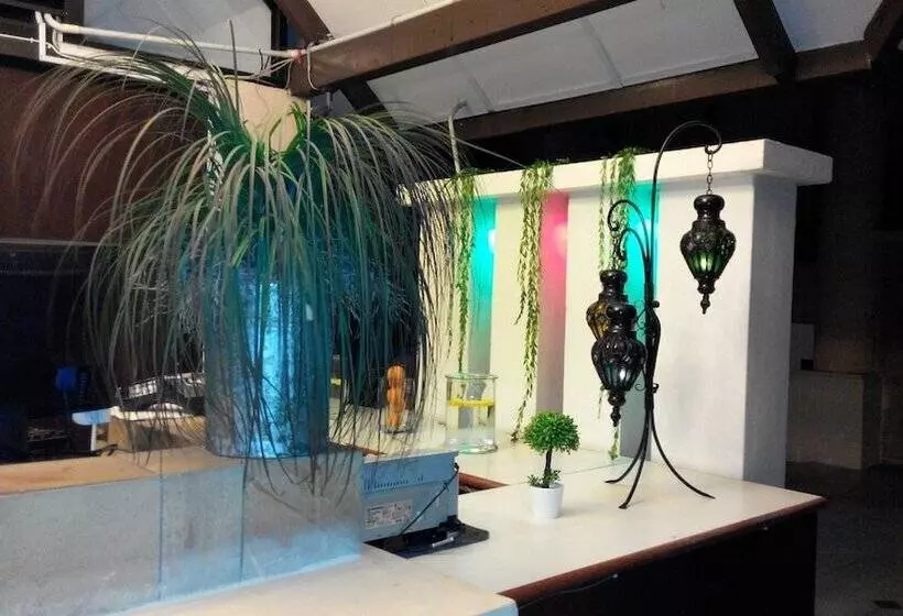 D Feringghi Haus Hotel & Restaurant