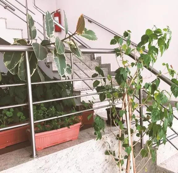 هتل Imzit Dobrinja