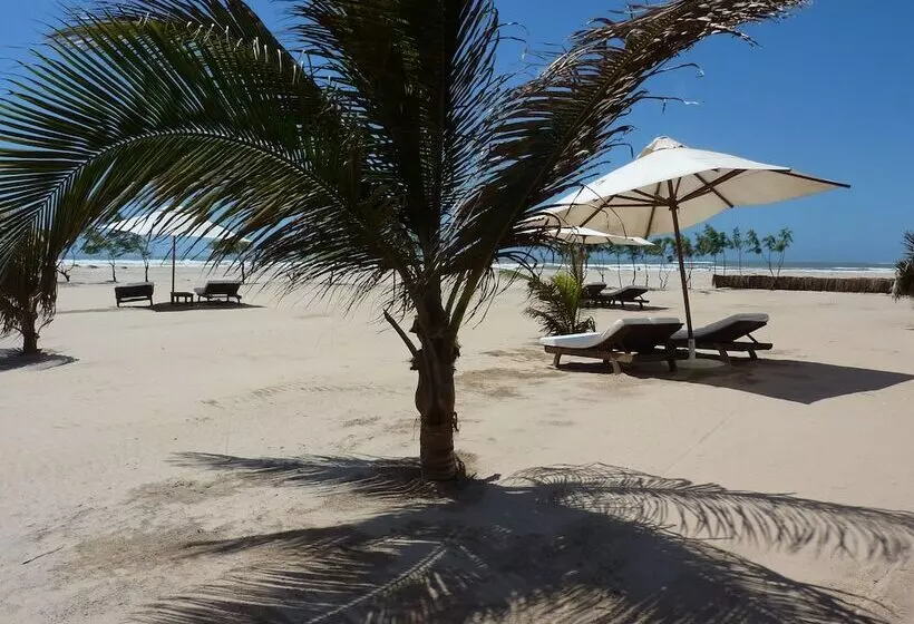 هتل Ocean Beach Resort & Spa