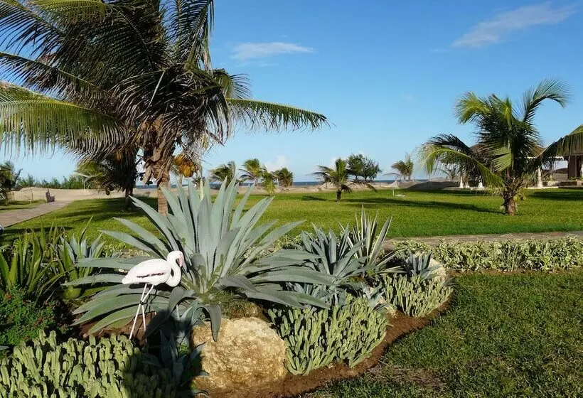 هتل Ocean Beach Resort & Spa