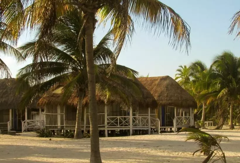 هتل Cabañas Ecoturisticas Costa Maya