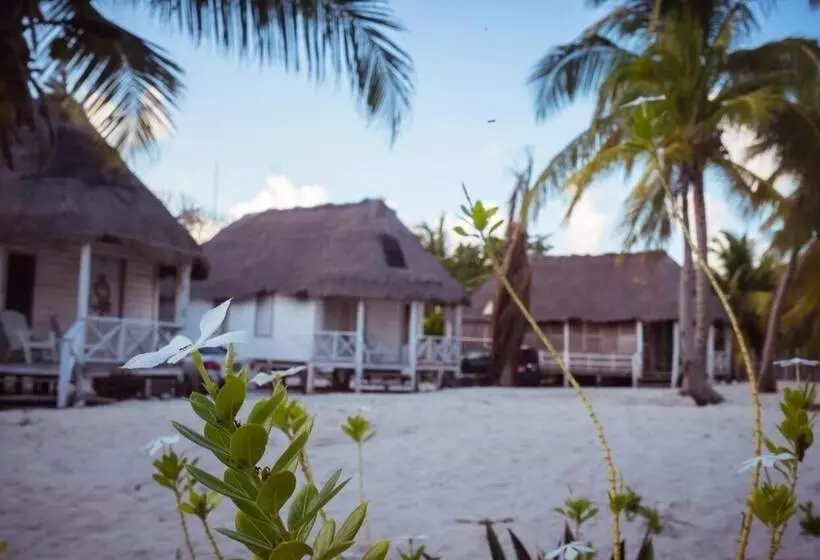 هتل Cabañas Ecoturisticas Costa Maya