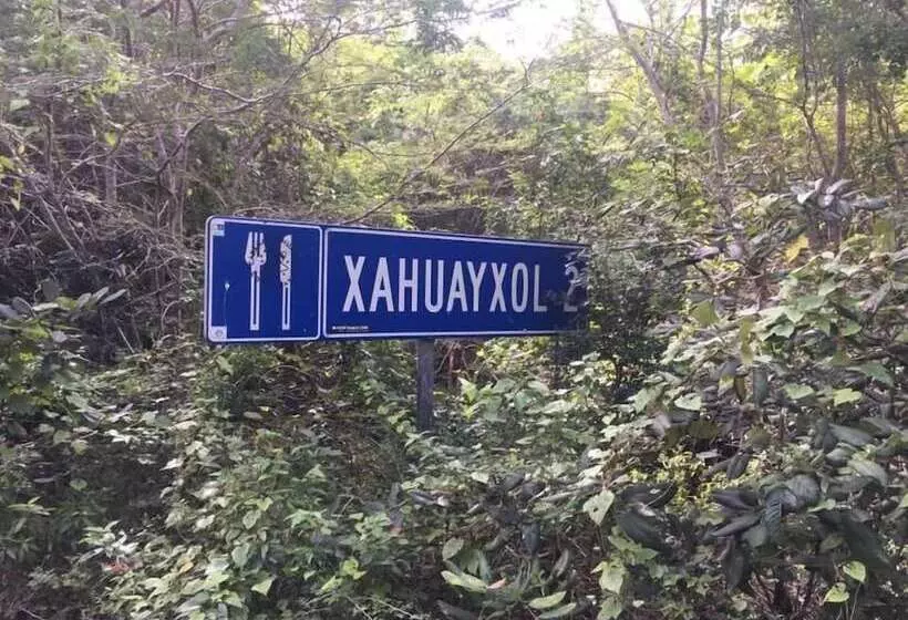 هتل Cabañas Ecoturisticas Costa Maya