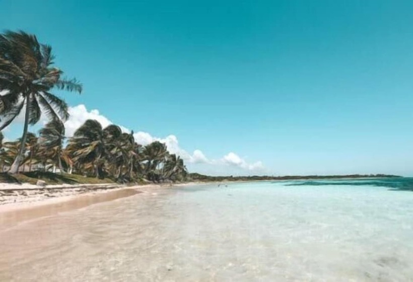 فندق Cabañas Ecoturisticas Costa Maya