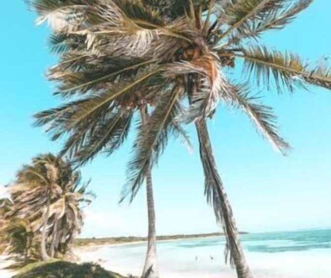 فندق Cabañas Ecoturisticas Costa Maya