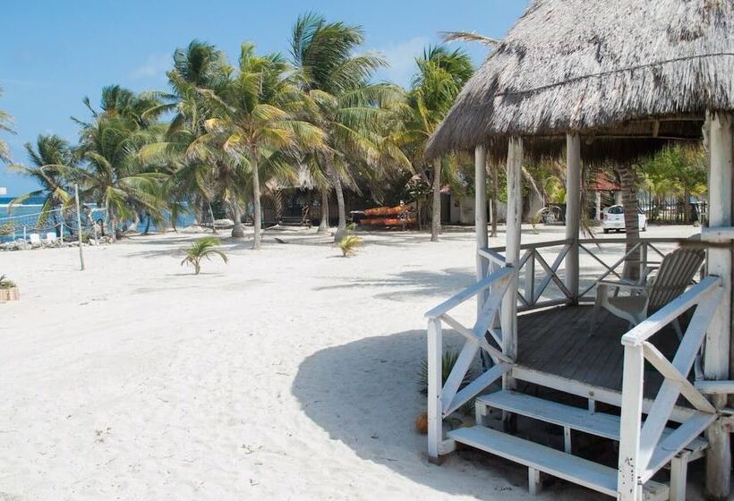 فندق Cabañas Ecoturisticas Costa Maya