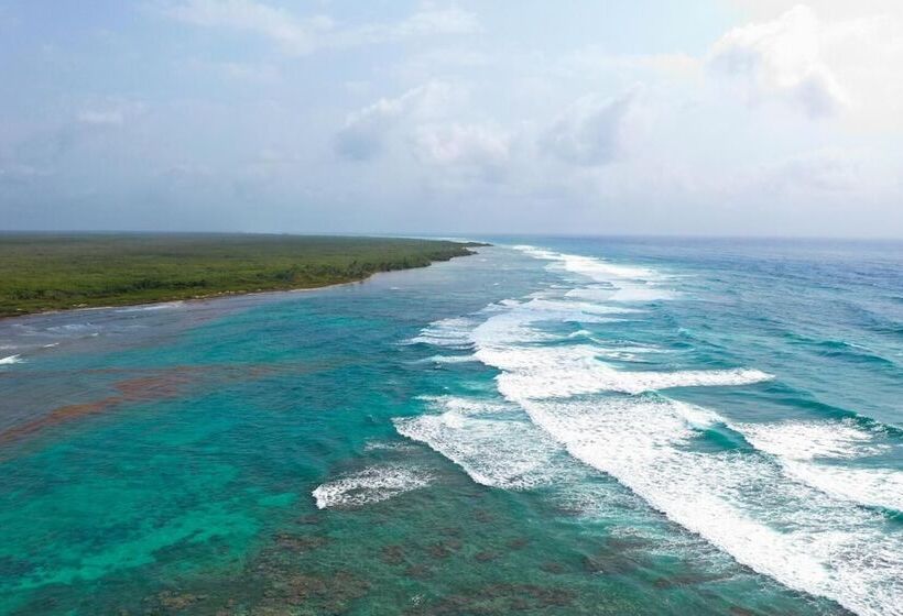 فندق Cabañas Ecoturisticas Costa Maya