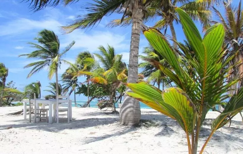 هتل Cabañas Ecoturisticas Costa Maya