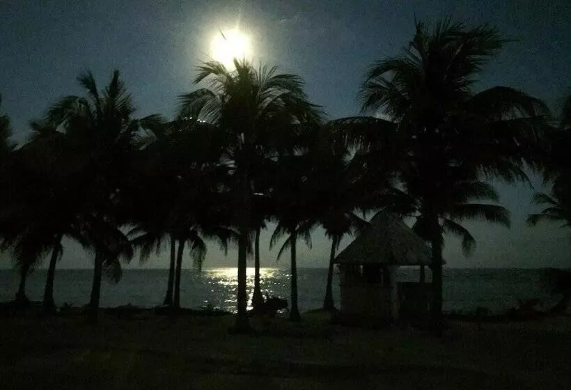 هتل Cabañas Ecoturisticas Costa Maya