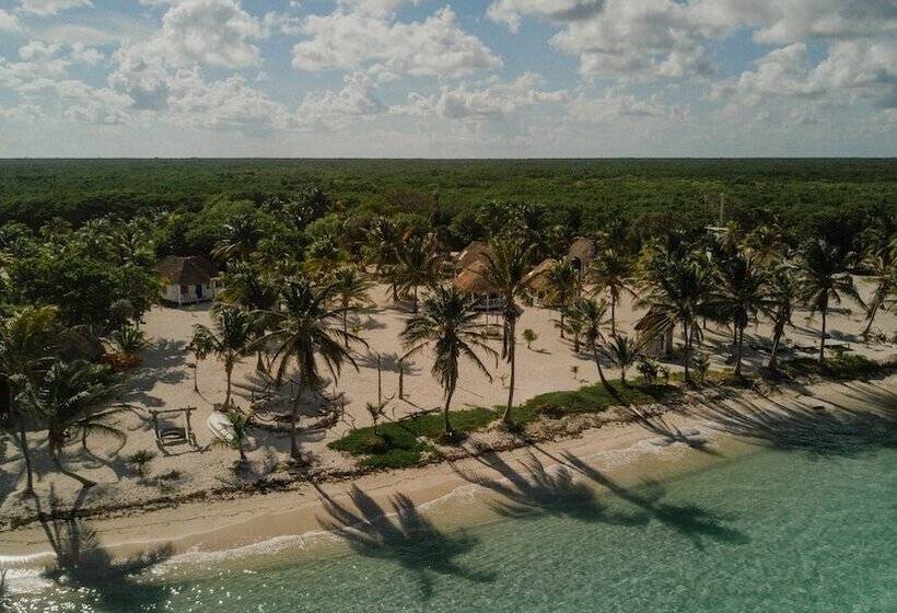 فندق Cabañas Ecoturisticas Costa Maya