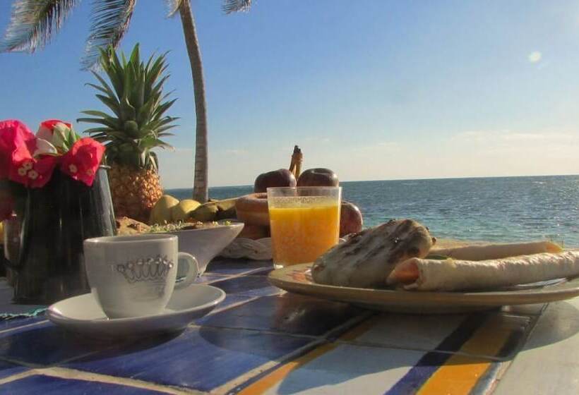 فندق Cabañas Ecoturisticas Costa Maya