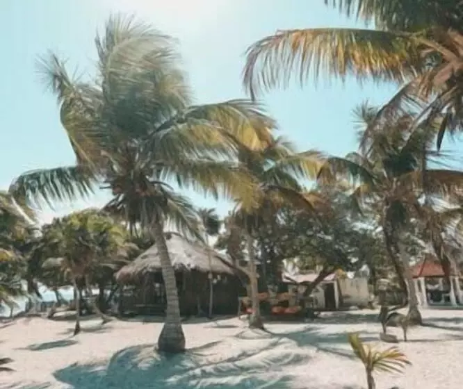 هتل Cabañas Ecoturisticas Costa Maya