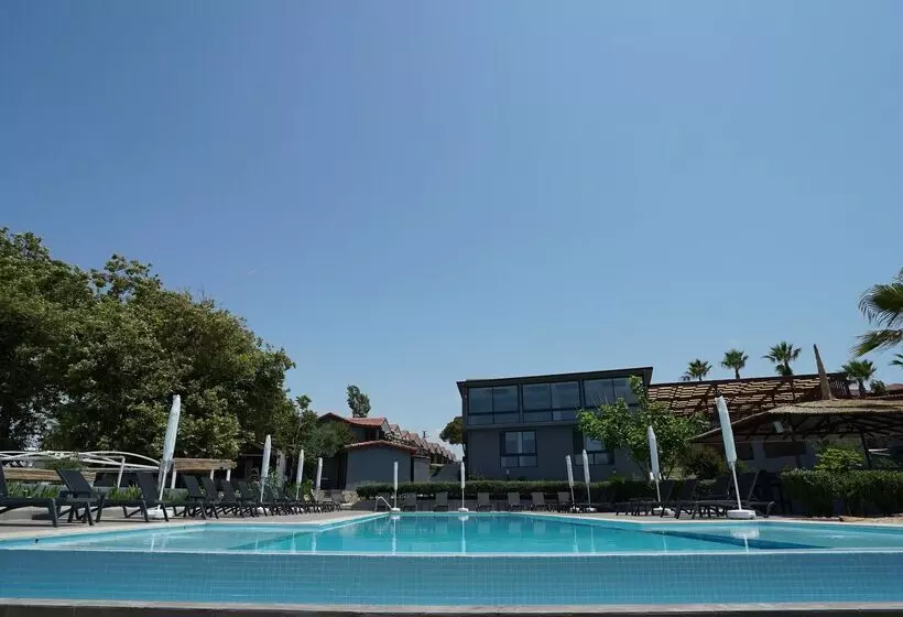 Adora Calma Beach Hotel