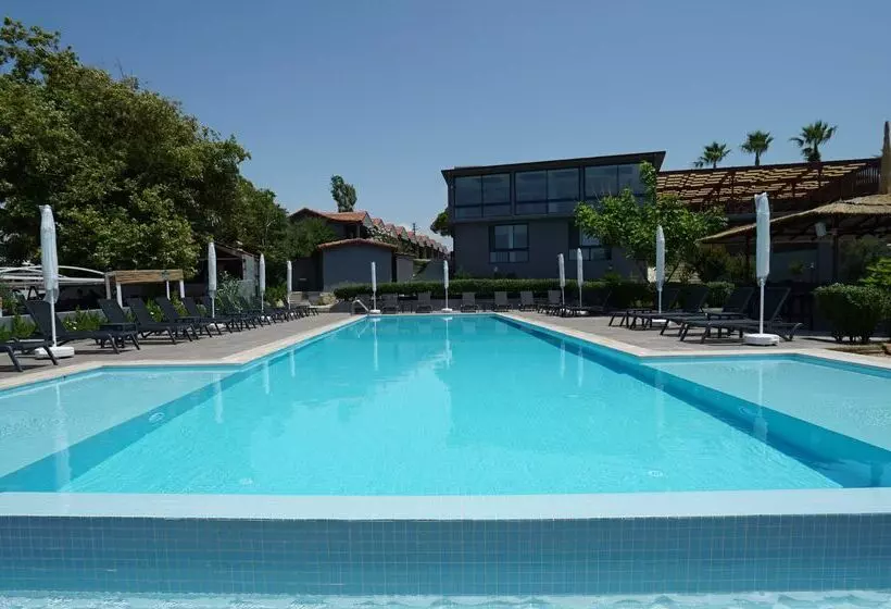 Adora Calma Beach Hotel