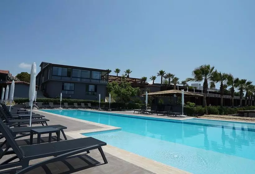 Adora Calma Beach Hotel