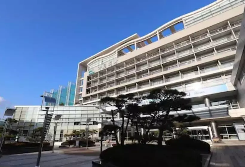 هاستل Busan Metropolitan City Corporation S Arpina