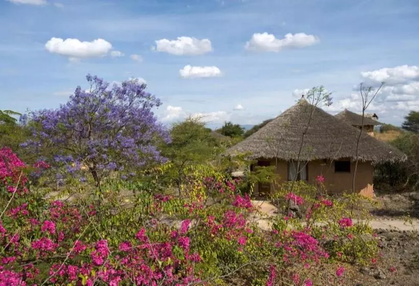 Отель Kia Lodge