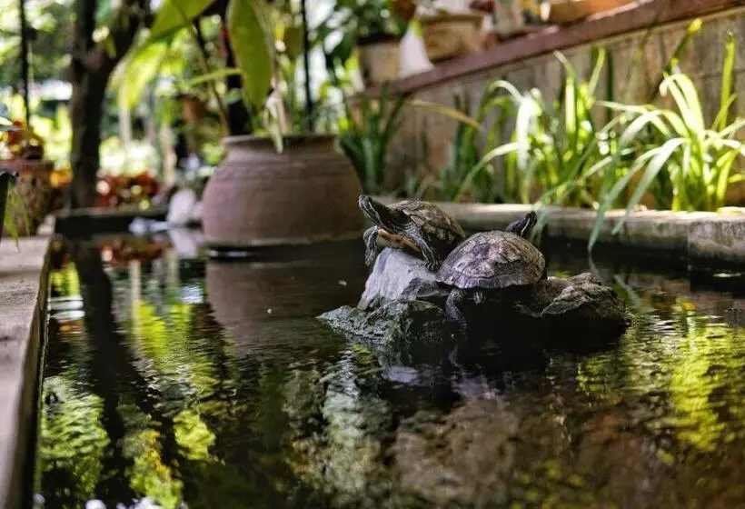 هتل Lanis House By The Ponds