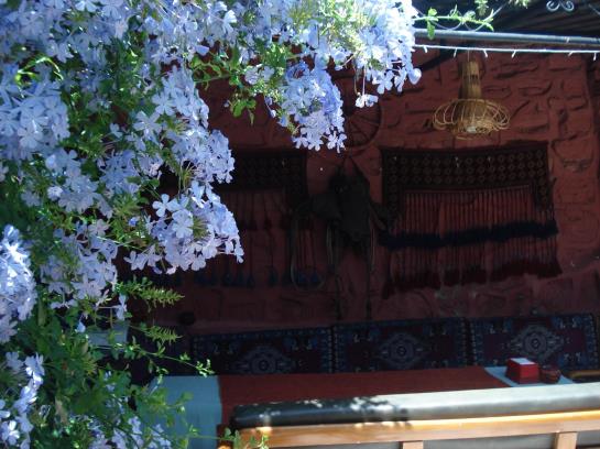 膳宿费 Sezgins Boutique Pansion