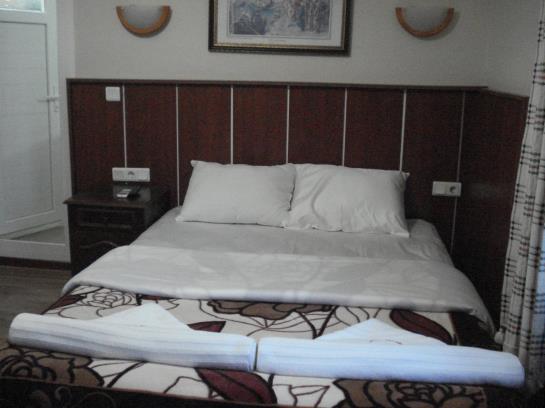 膳宿费 Sezgins Boutique Pansion