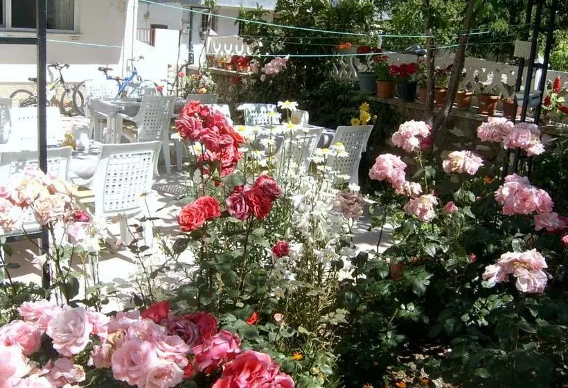 Sehsuvar Peace Pension