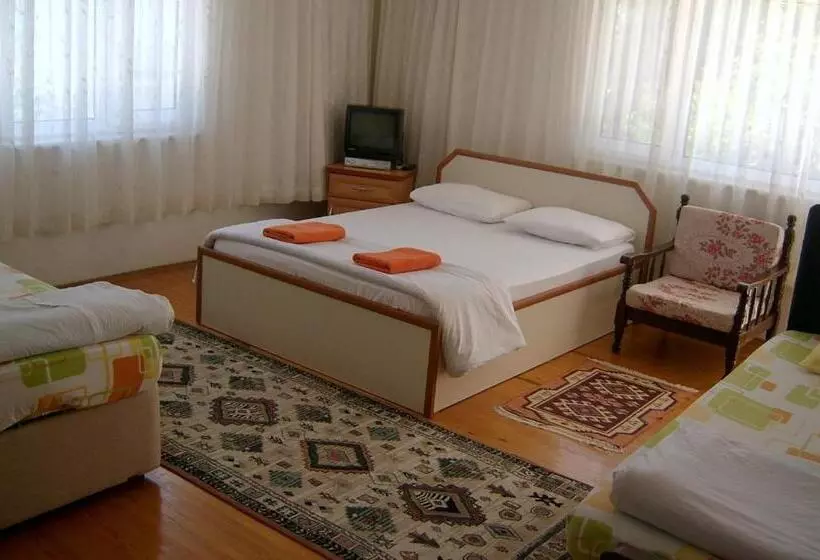 Sehsuvar Peace Pension