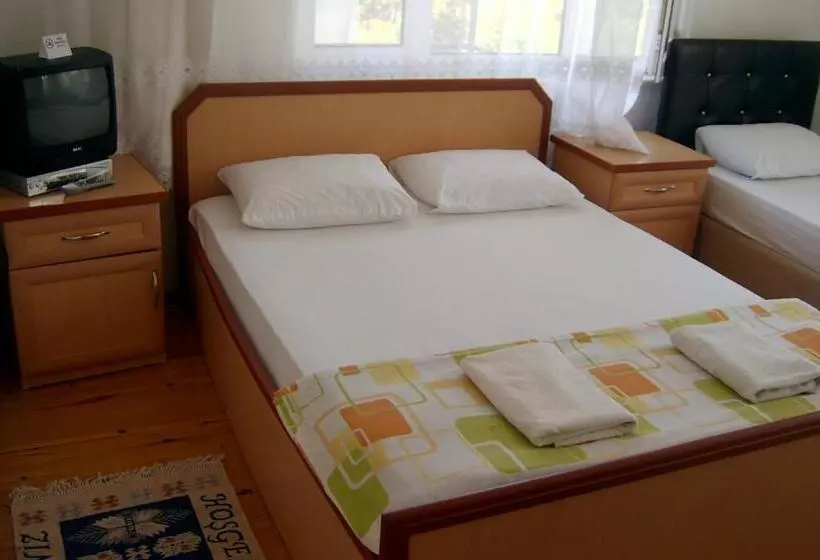 Sehsuvar Peace Pension