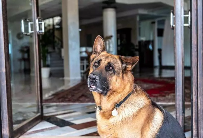 ホテル Fantinello