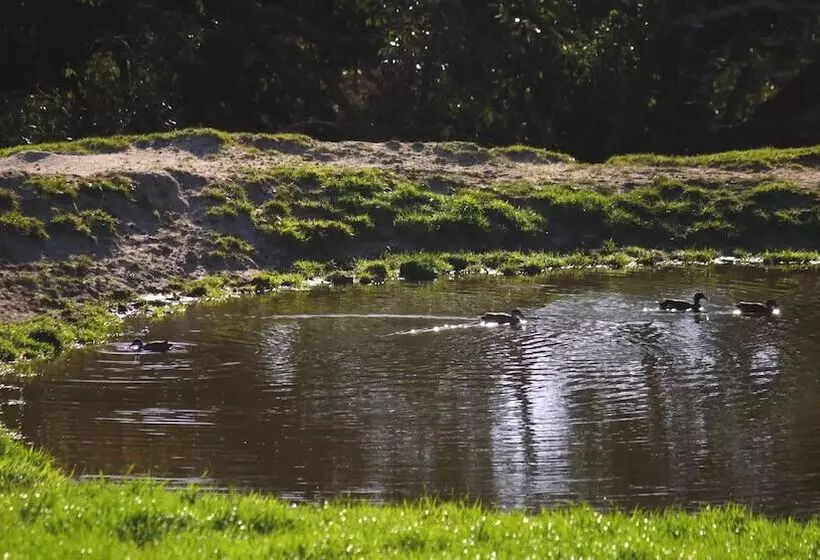 Отель Limosa Rise