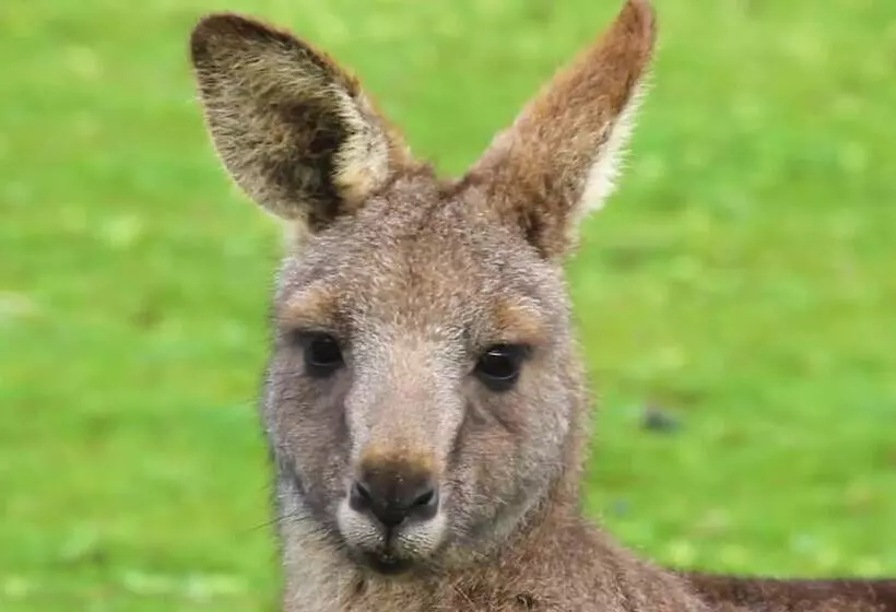 Отель Limosa Rise