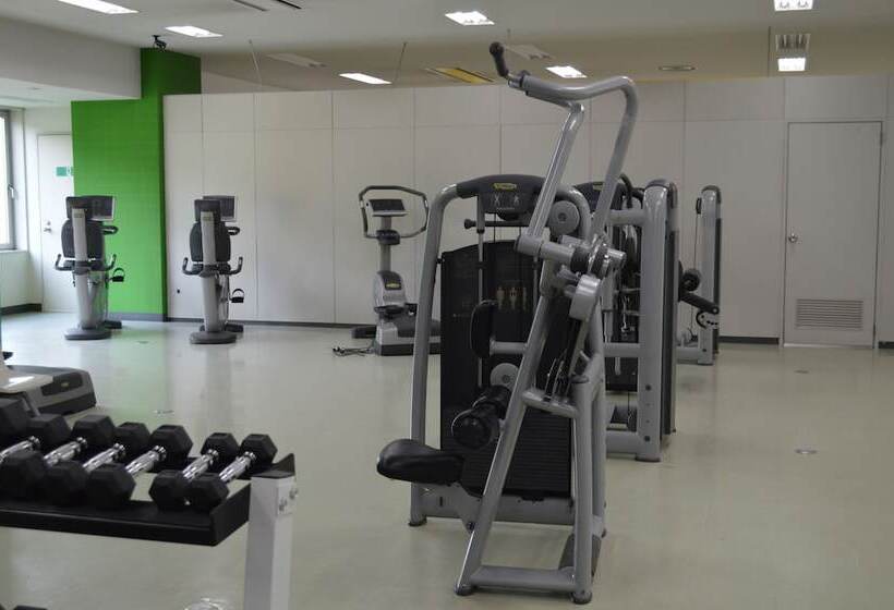 Отель Mount Racey